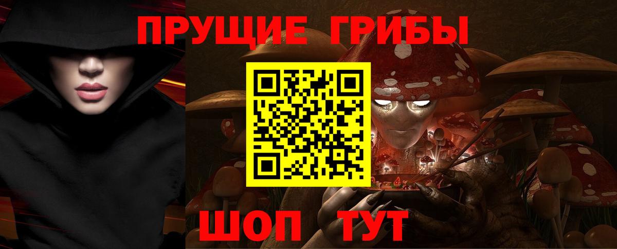 Галлюциногенные грибы Cubensis Верхний Уфалей